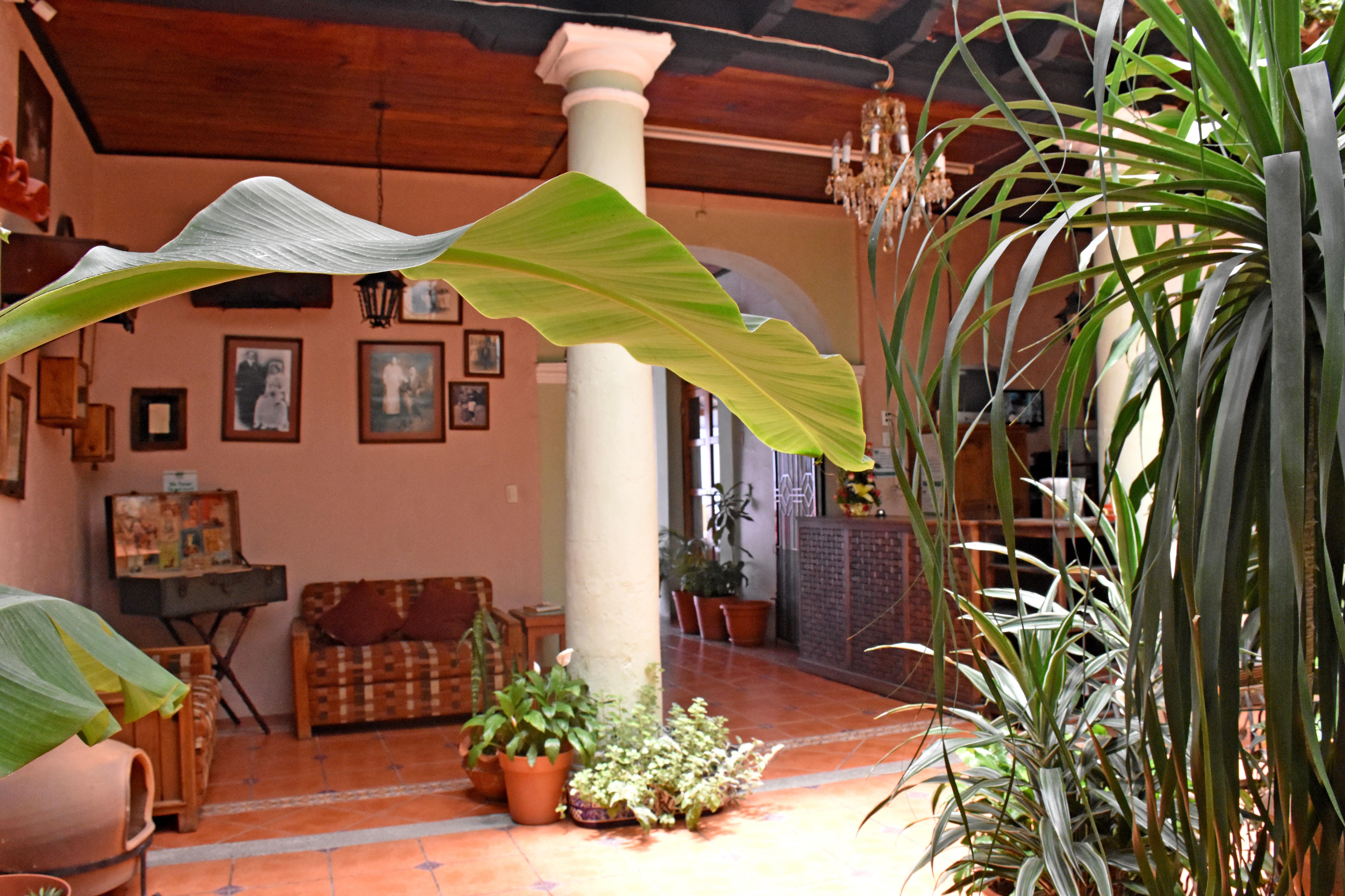 Hotel San Luis San Cristóbal de Las Casas Kültér fotó