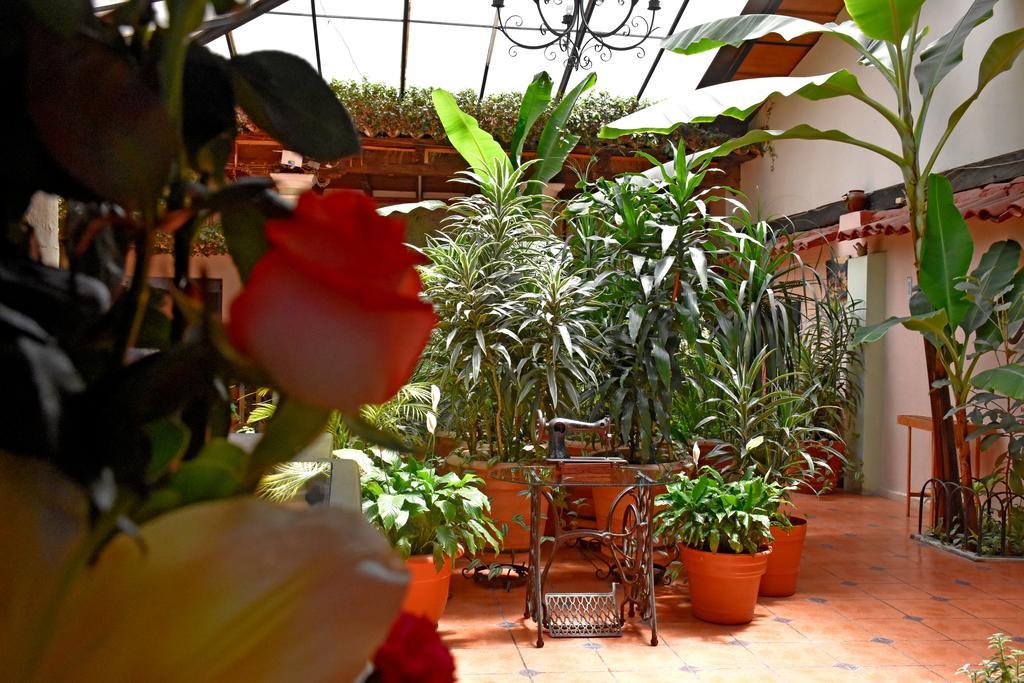 Hotel San Luis San Cristóbal de Las Casas Kültér fotó