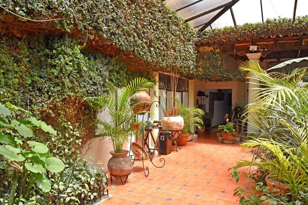 Hotel San Luis San Cristóbal de Las Casas Kültér fotó